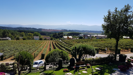 Winemuseum Prada A Tope - Thumbnail