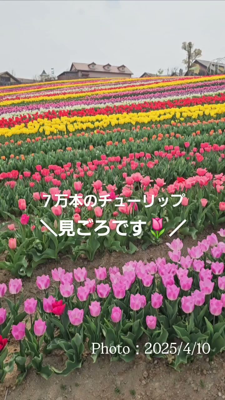 堺・緑のミュージアム ハーベストの丘