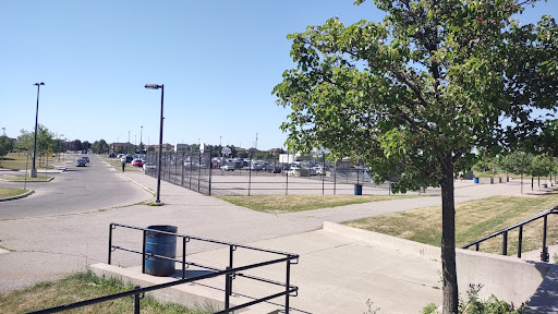 Cassie Campbell Cricket Ground - Thumbnail