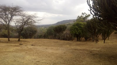 Photos of Silalei Hotel