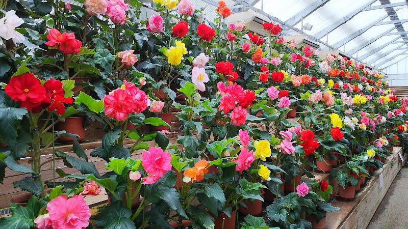 日光花いちもんめ 栃木県日光市小佐越 植物園 グルコミ