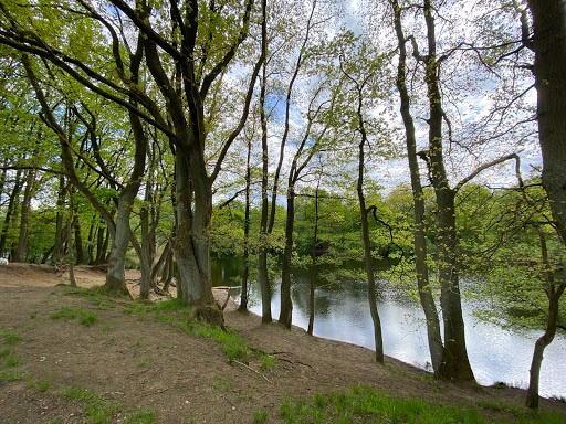 Strand Kupferteich Gallery - Germany