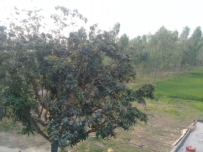 Photos of 2PATHIVARA MATAGURU TEMPLE