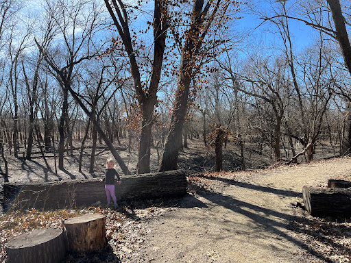 Townsite Trail
