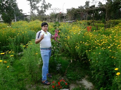 park