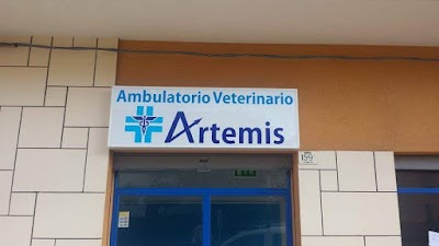 Ambulatorio veterinario Artemis Marzocca