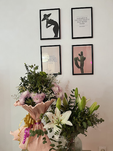 Plomitashop - Thumbnail
