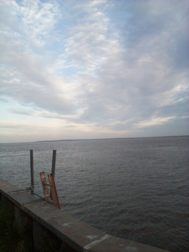 Tide Table Coffee - Visual