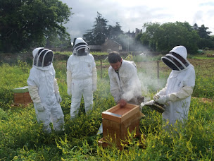 Photo n°11 de Maison Familiale Rurale à Montreuil-Bellay (Centre d'apprentissage)
