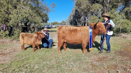 Junee Showground