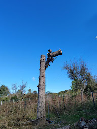 Photo n°20 de SEVE à Malzéville (Service d'entretien de pelouse)