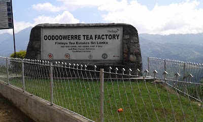 Photos of Oodoowerre Tea Factory