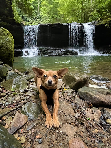 Finn's Falls - Thumbnail