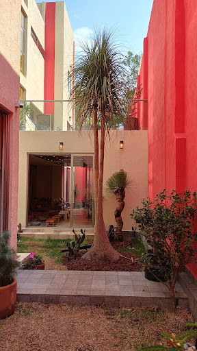 Centro de Meditación Kadampa México - Thumbnail