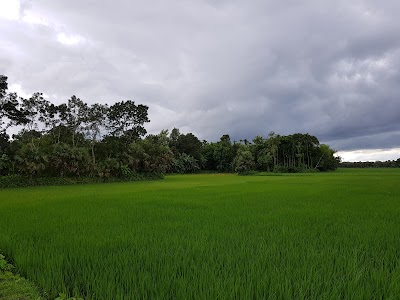 Photos of Sharifgonj