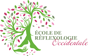 Photo n°1 de Ecole de Réflexologie Occidentale à Moult-Chicheboville (Centre de formation)