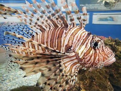 The Estuarium at Dauphin Island Sea Lab