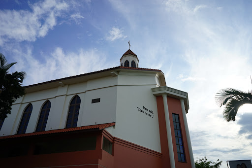 PLMC
