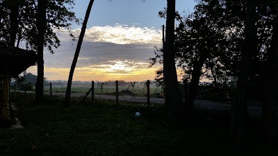 Photos of Badrakali Amman Temple
