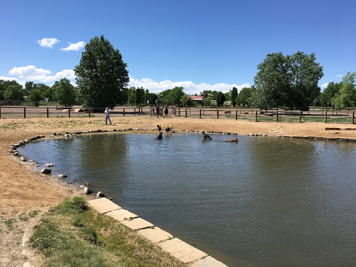 Louisville Community (Dog) Park - Thumbnail