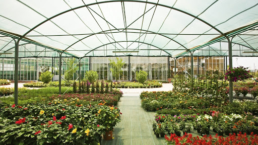 Fioreria Garden Flor - Thumbnail