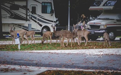 Marylander RV Park