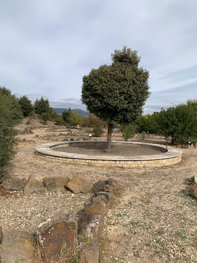 Giardino Botanico del Monte Arci Gallery - Italy