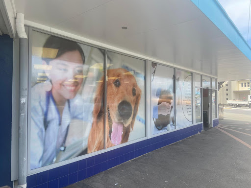 Animates Vetcare Clinic Miramar - Thumbnail