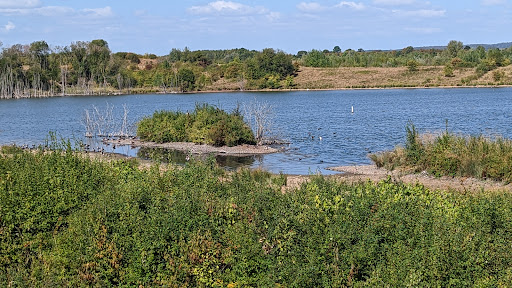 Beobachtungshütte Pfaffensee - Thumbnail