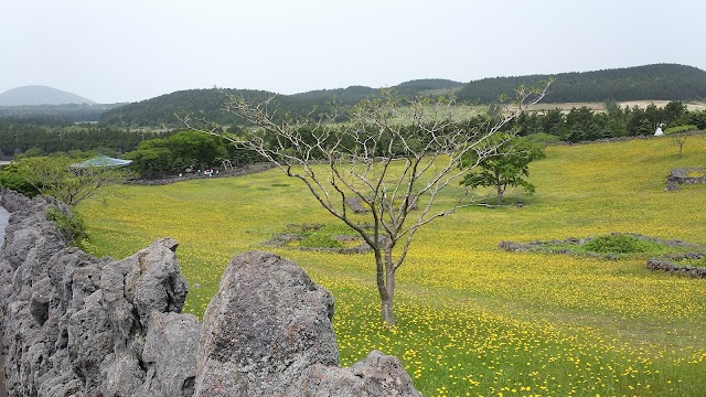 Manjanggul Cave