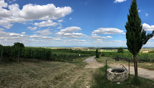 Brunnen im Weinberg