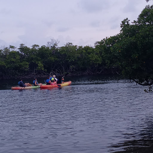 Isla Magueyes Marine Laboratories - Thumbnail