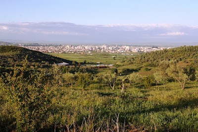 Stadiumi Loni Papuciu