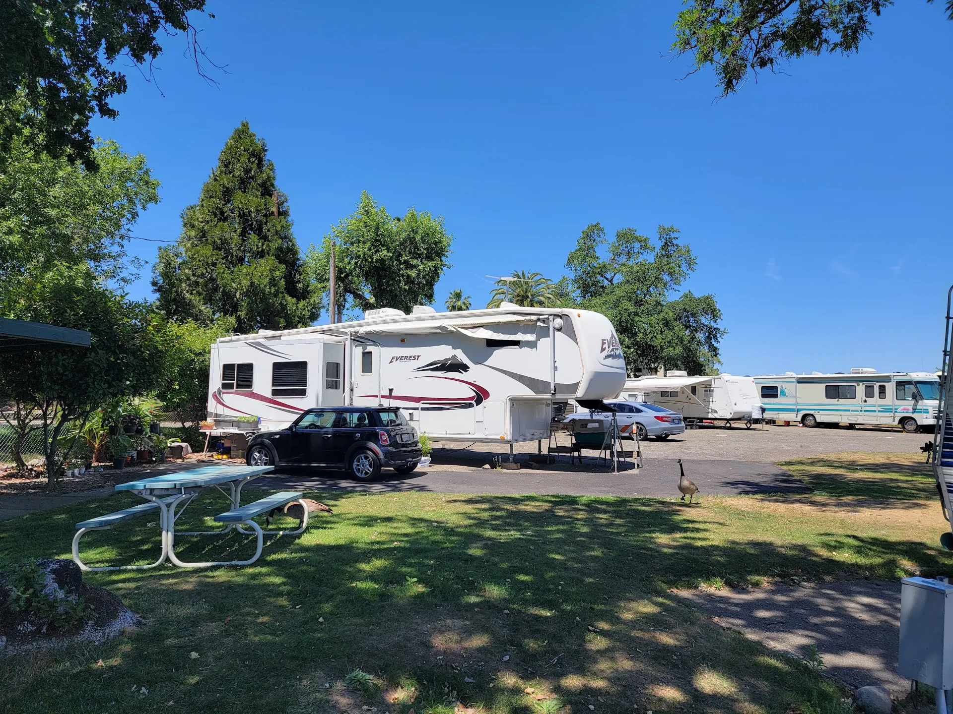 Marina RV Park