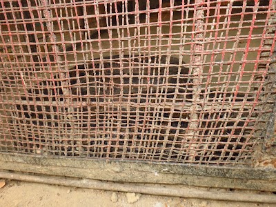 Photos of Rajshahi Central Zoo Gate-1