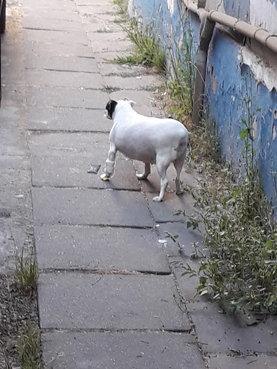 Photos of Animal Clinic