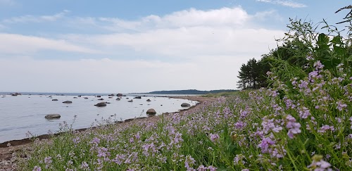 RMK Mägipä telkimisala