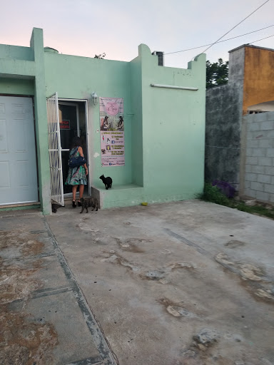 O'Yuca - Thumbnail