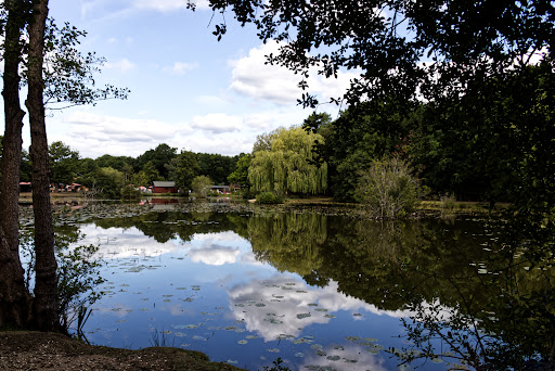 Tri Lakes - Visual