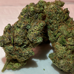 Photo n°16 de Green Monkey à Le Neubourg (Magasin de cannabis)