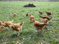 La ferme de Patassière à Saint-Martin-de-la-Cluze