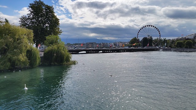 Île Rousseau