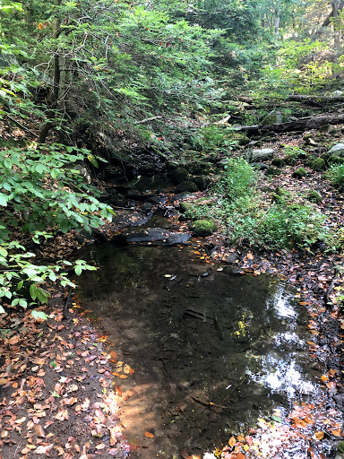 Glazier Preserve - Thumbnail