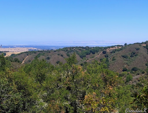 Fern Loop Trail - Visual