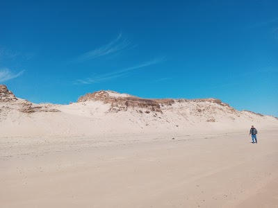 Cape Henlopen Great Dune, Delaware