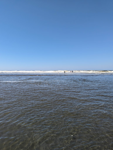 Grayland Beach - Visual