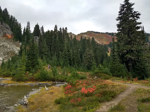 Green Mountain Campsites - Thumbnail