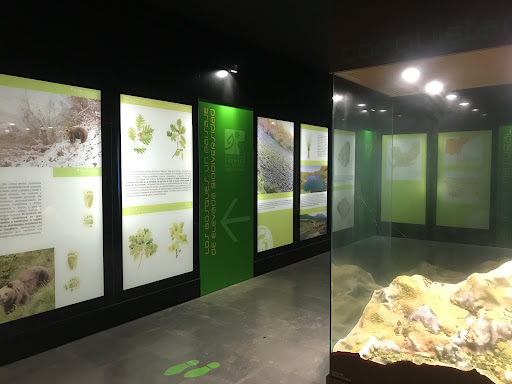 Centro de interpretación Fuentes del Narcea, Degaña e Ibias “ casa del parque”