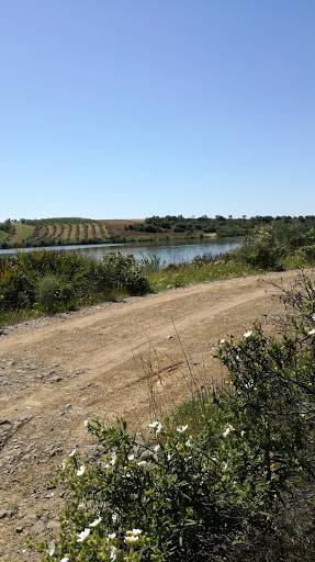 Presa de Candoncillo