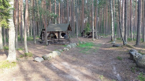 RMK Mustjärve lõkkekoht